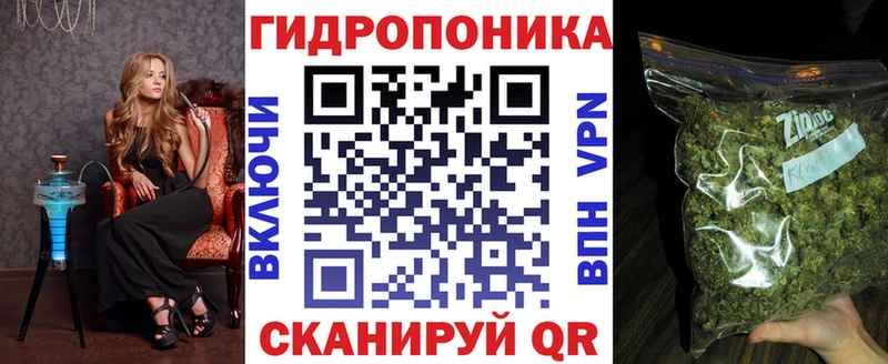 ГАШ Чёрмоз