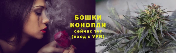 гашик Михайловск