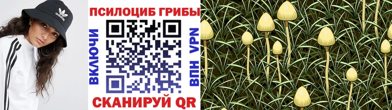 Псилоцибиновые грибы мухоморы  Чёрмоз 